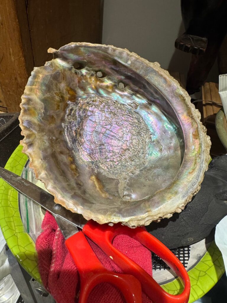 I had another go, this time with a lined abalone shell