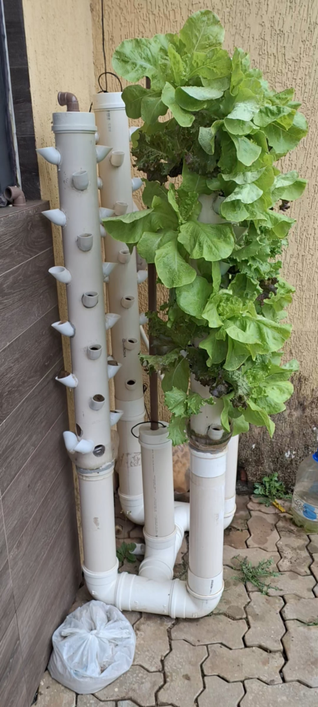 Minha horta hidroponica