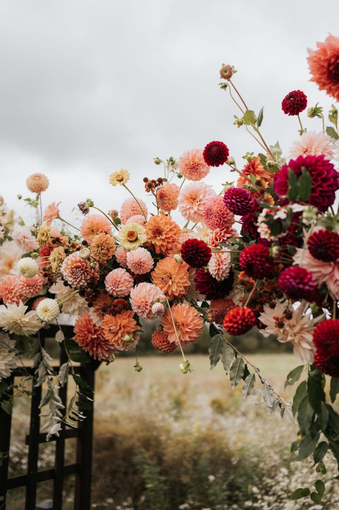 Does flower production vary significantly between zones? (Practicing how to maximize blooms for events over the next few years)