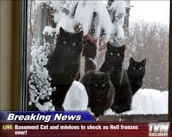 basememtcatweather.jpg basememtcatweather.jpg