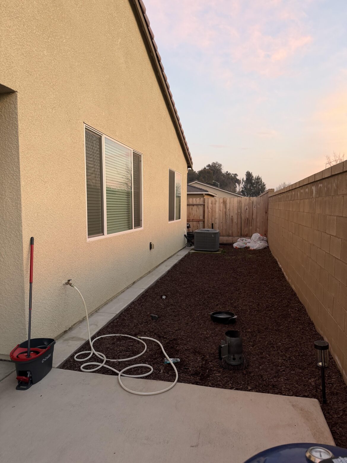 Backyard