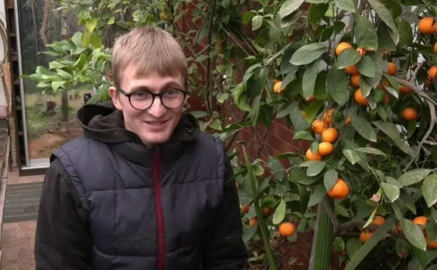 A gardener in Khmelnytskyi region grows exotic fruits on his own veranda – AgroNews A gardener in Khmelnytskyi region grows exotic fruits on his own veranda