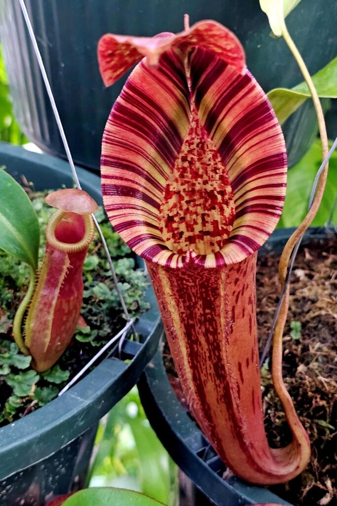 Some eye catchers from today