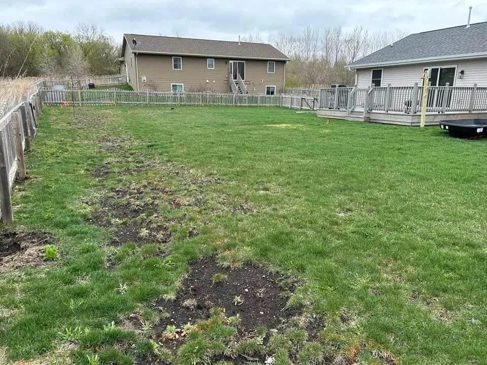 Photo Credit: u/COweatherman / Reddit