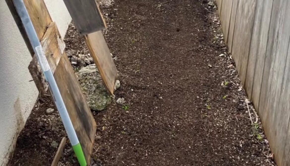 Homeowner shares before-and-after video after transforming neglected patch on side of house: 'Absolutely beautiful'
