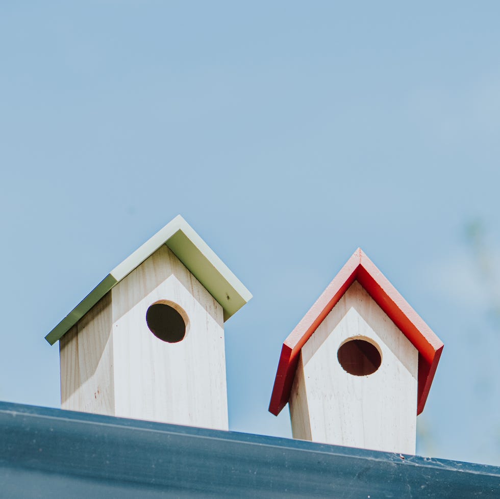 Beach hut-style bird nest box conceptual, and simple image of two little bird boxes next to one another. one has a red roof and the other has a green roof. the blue sky provides a space for copy.