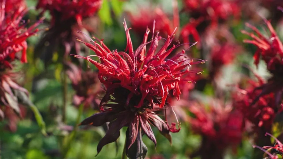 Image Credit: Deposit Photos