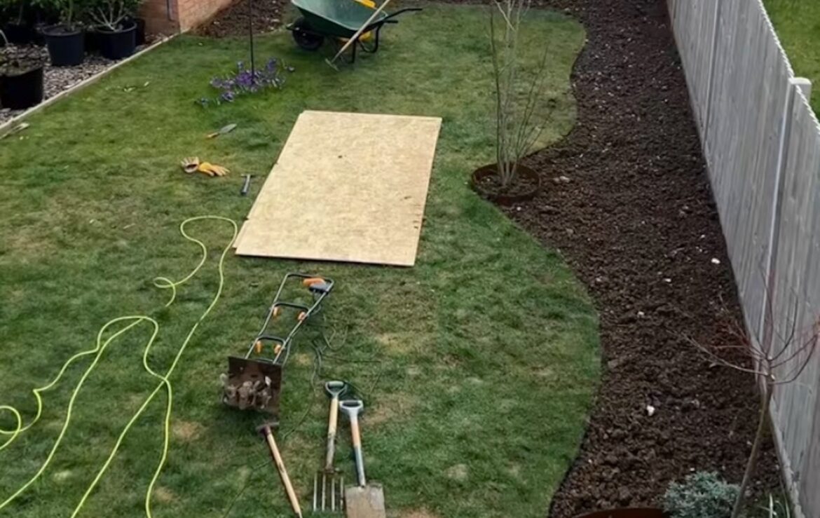 One TikToker, keen on the benefits of rewilding lawns, shared the remarkable progress of how her new-build garden transformed in only one year.