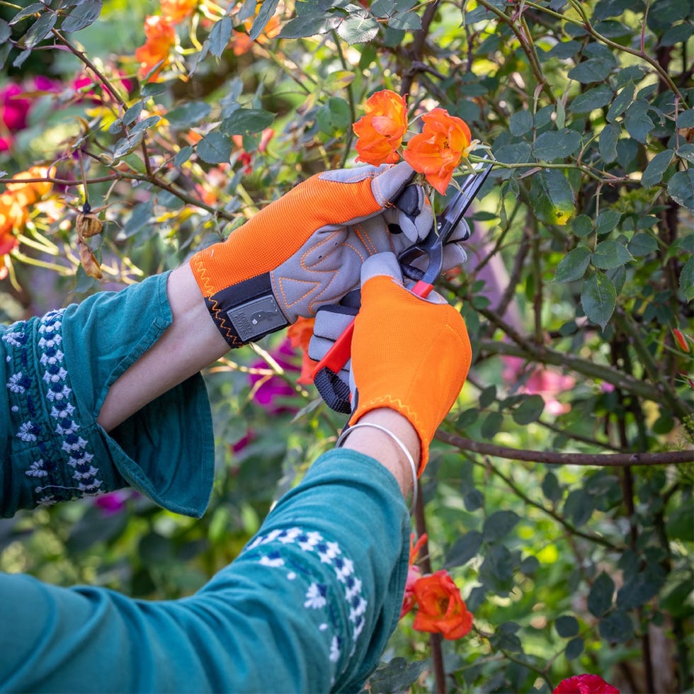 best gardening gloves