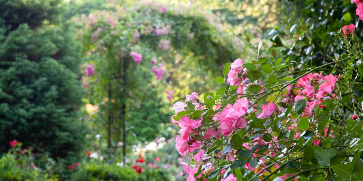 350 Normally Off-Limits Gardens Open in 2026