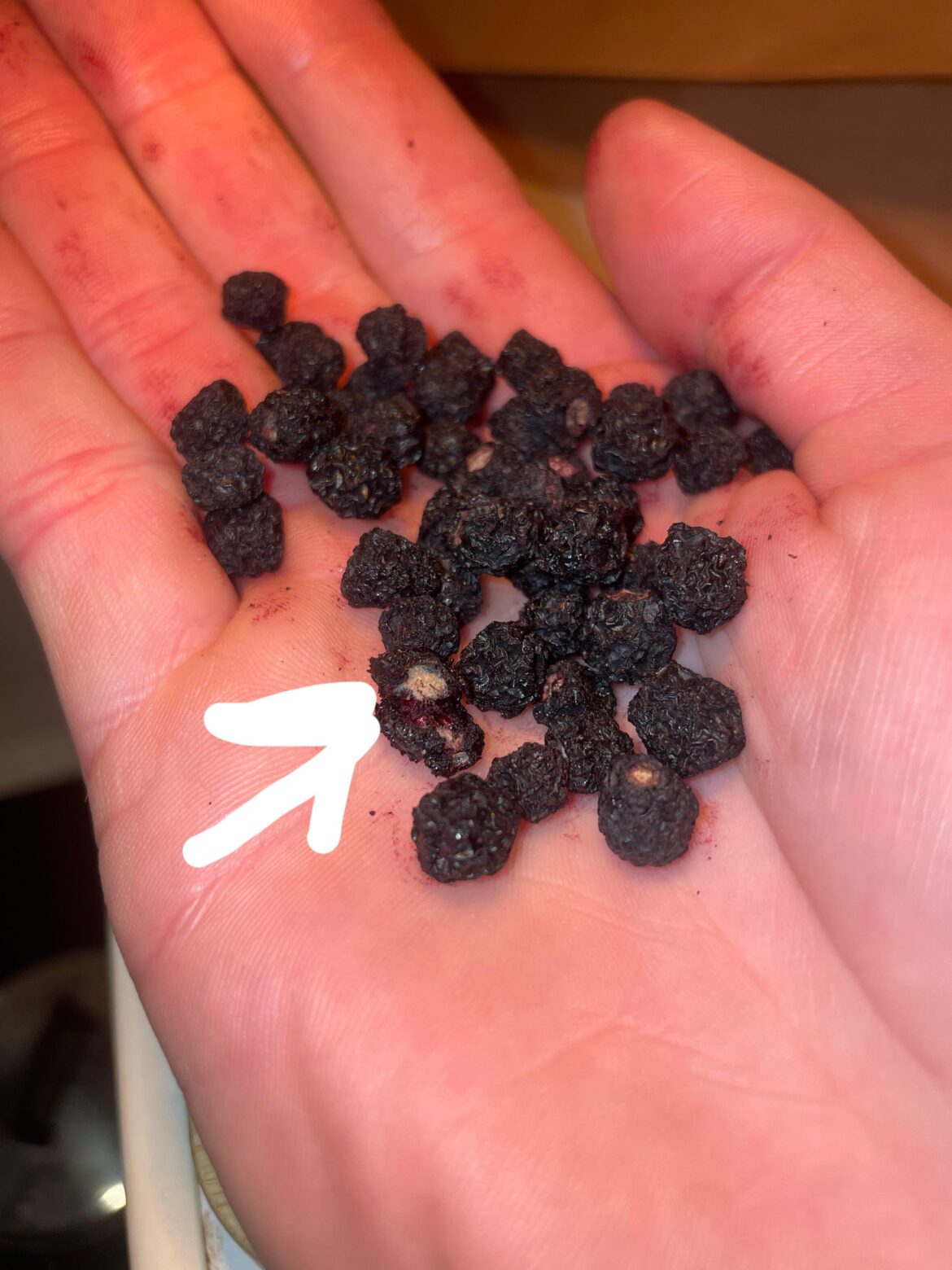 What’s the white stuff on aronia berries? Mold?