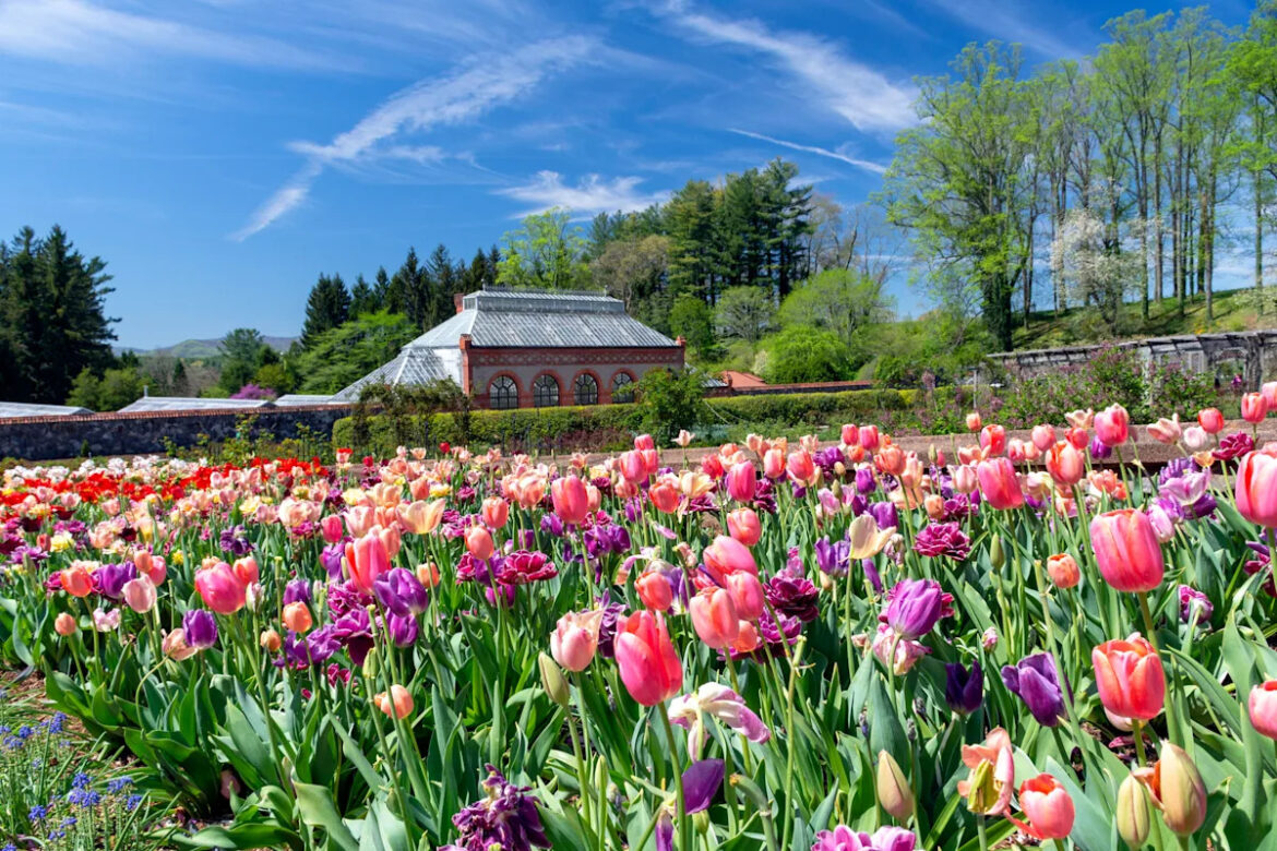 10 best spring gardens to visit across the U.S. Yahoo creators home
