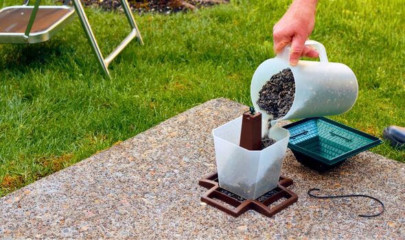 Picture of someone filling up a bird feeder Picture of someone filling up a bird feeder