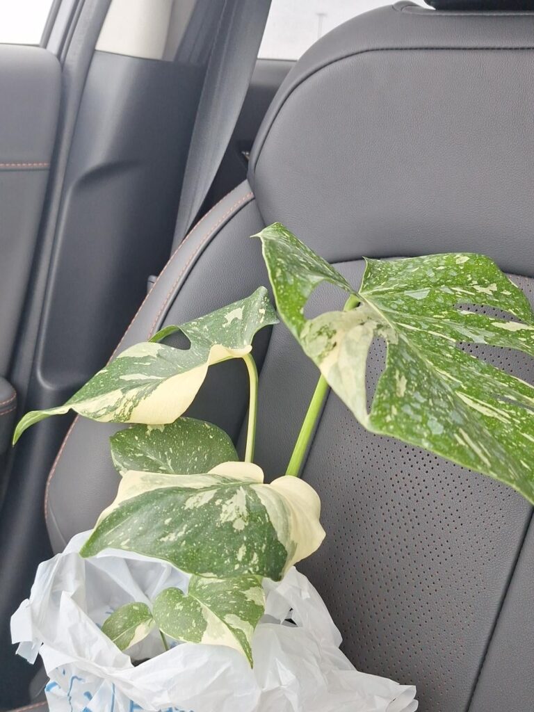 My new baby!