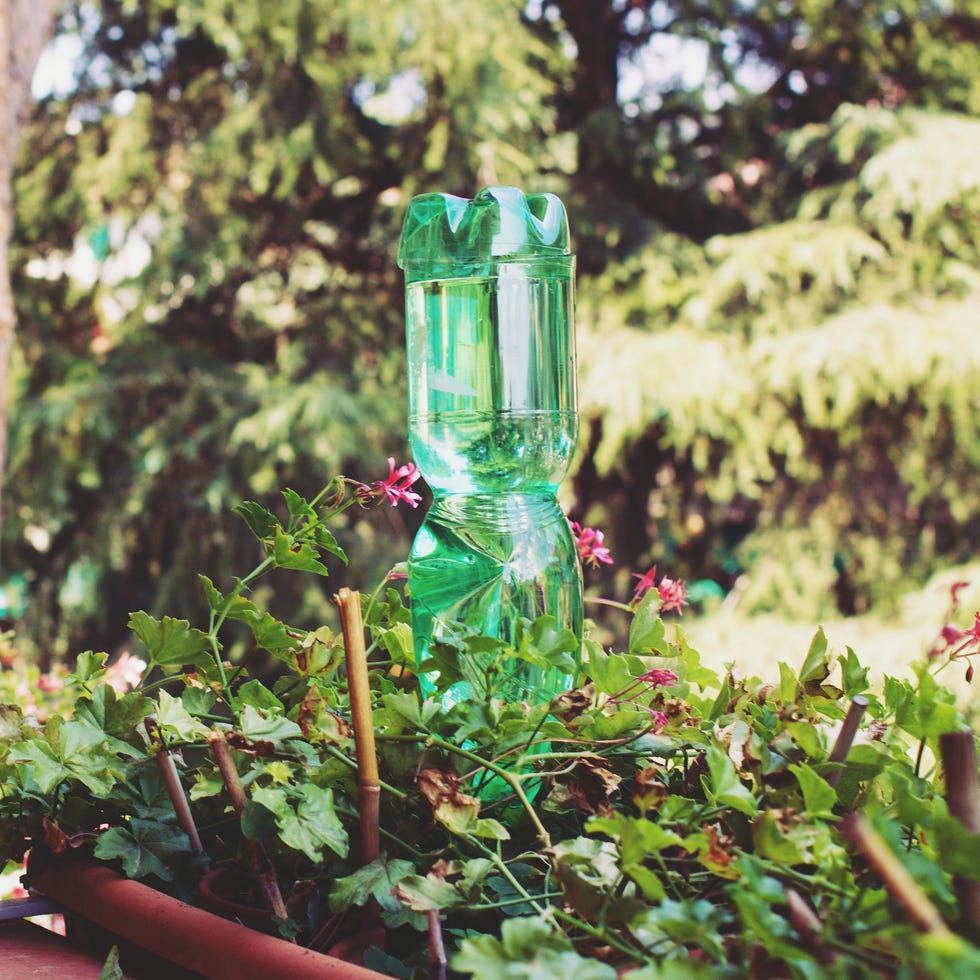 plastic bottles for watering flowers on the balcony as irrigation system