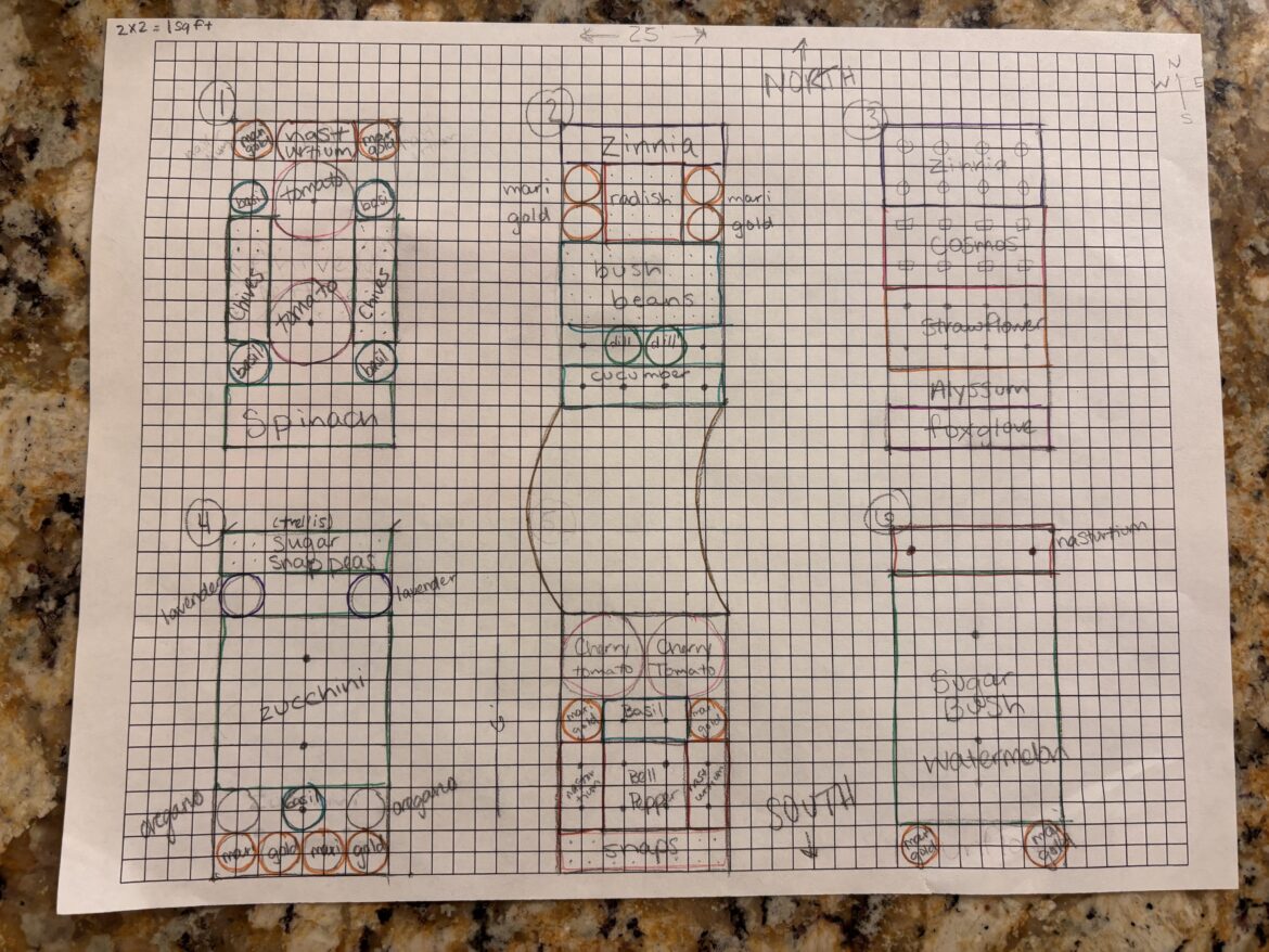 Garden plan help