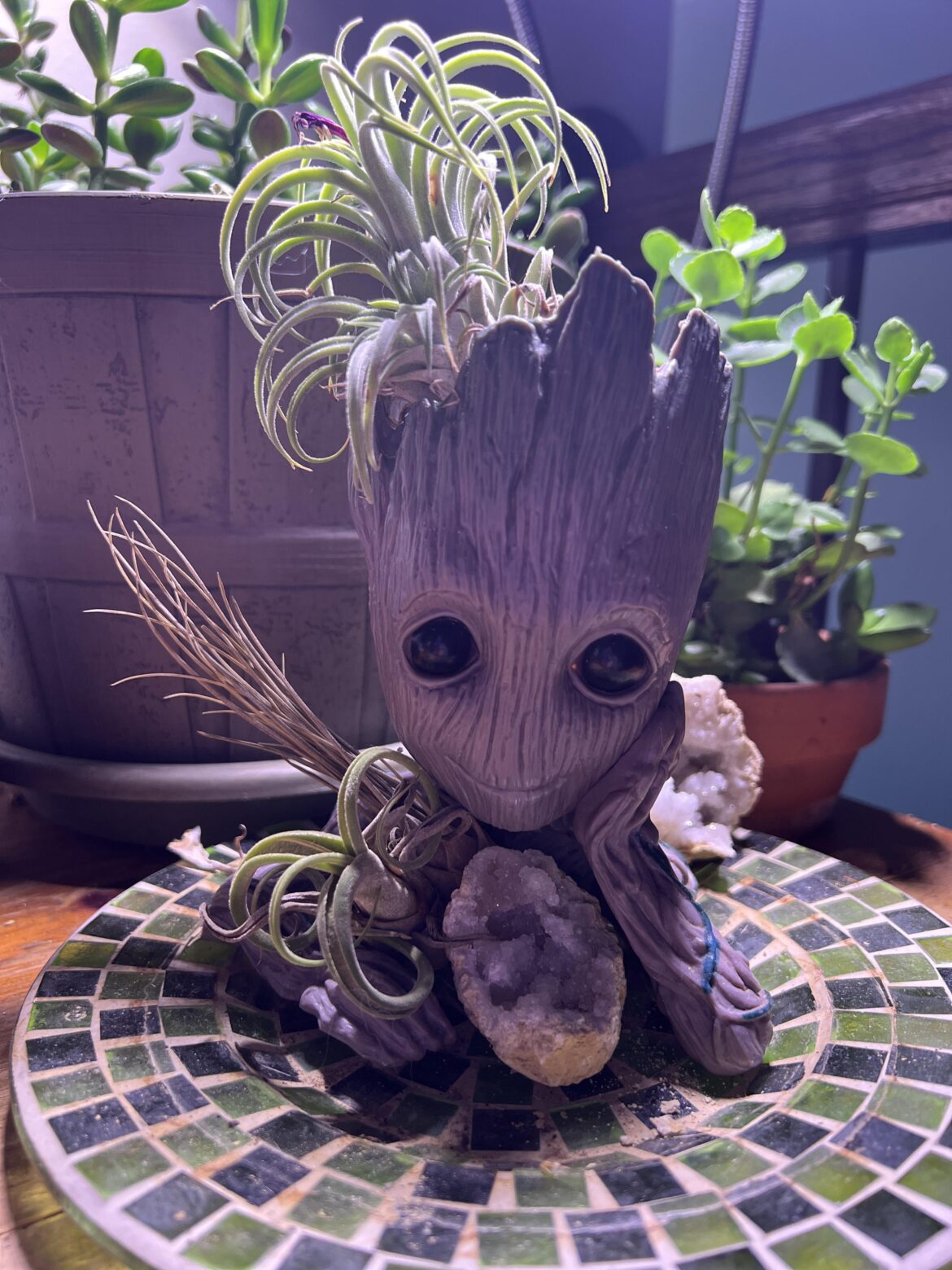 This is how I’m using my little Groot planter these days. I started my air plant collection fairly recently ☺️