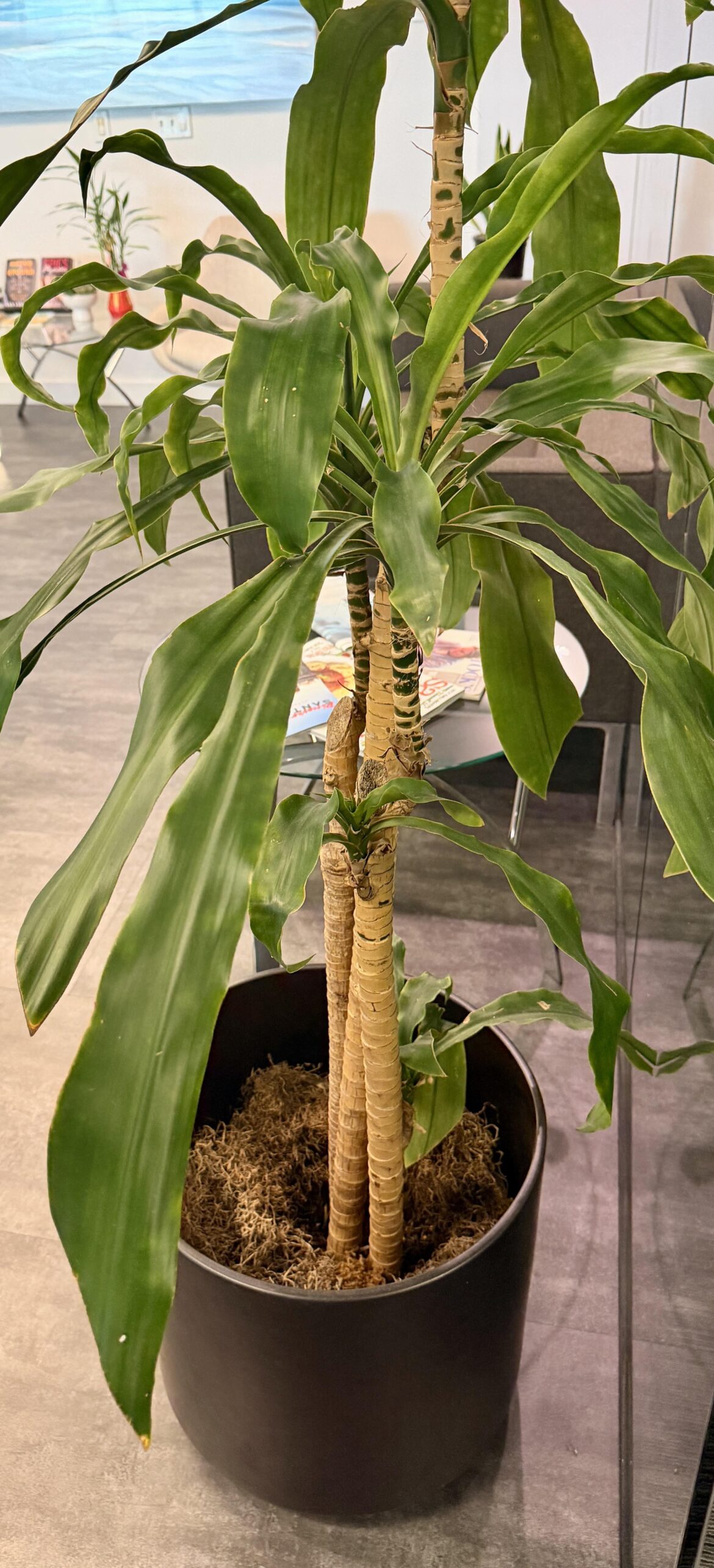 What is this and how can I prop it with minimal impact?