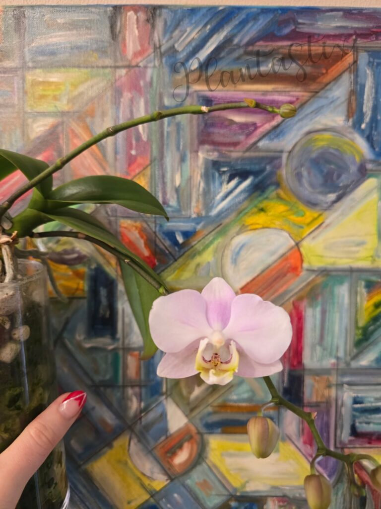 Some orchids in bloom