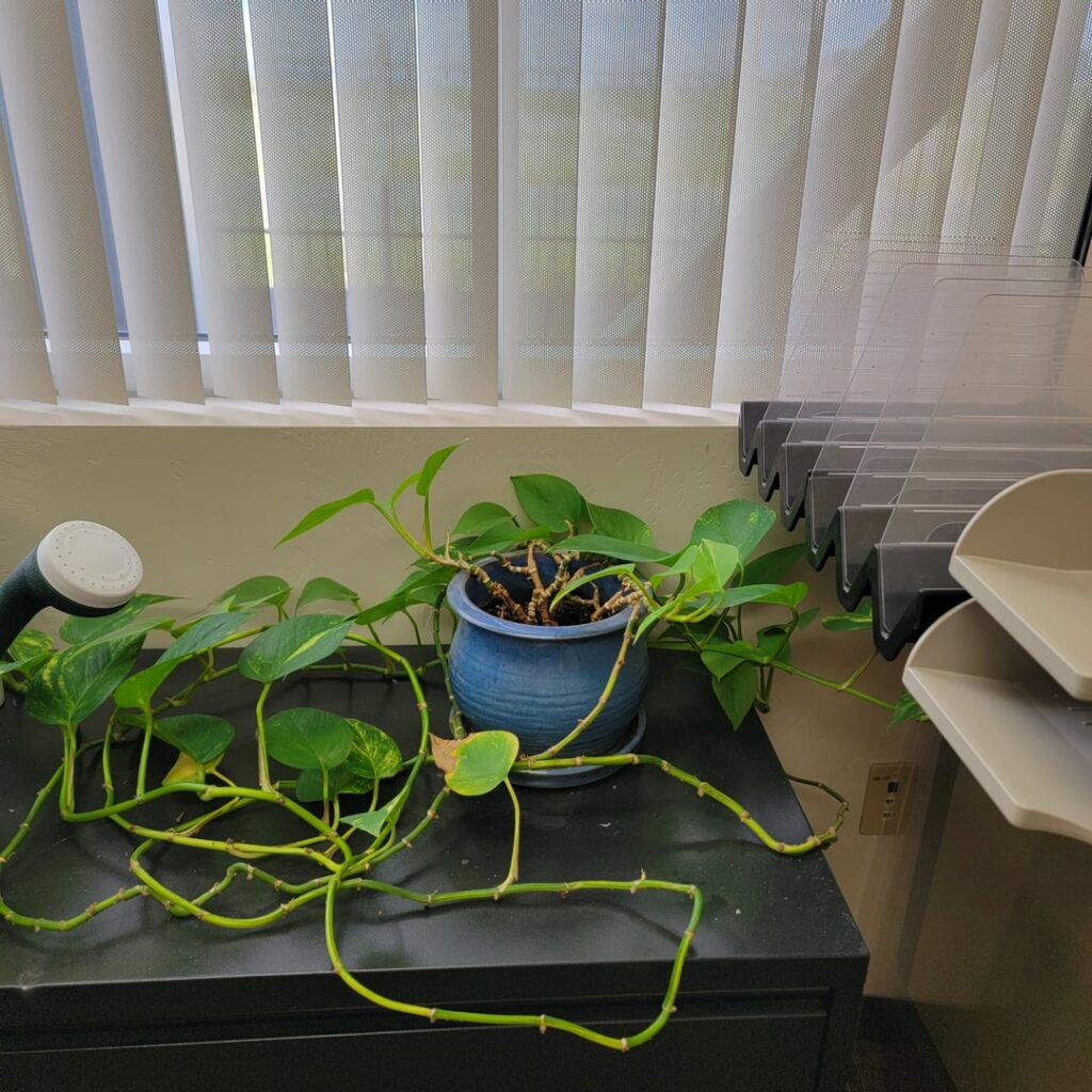 Stolen from my moms work