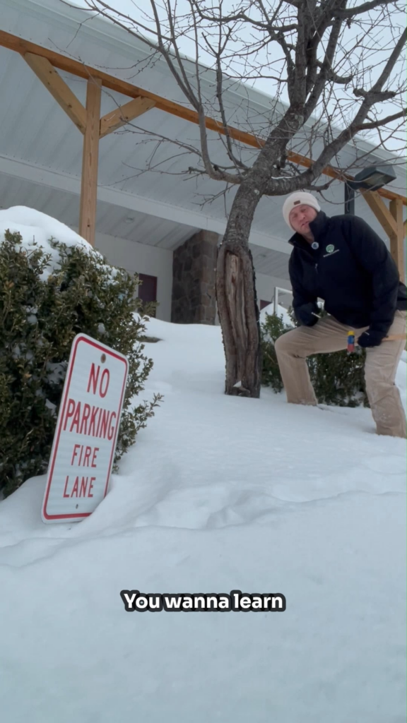 Cherry tree showing effective CODIT despite heartwood decay Cherry tree showing effective CODIT despite heartwood decay