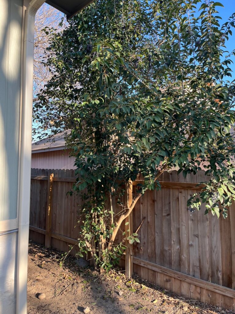 How much should you pay someone for this job?