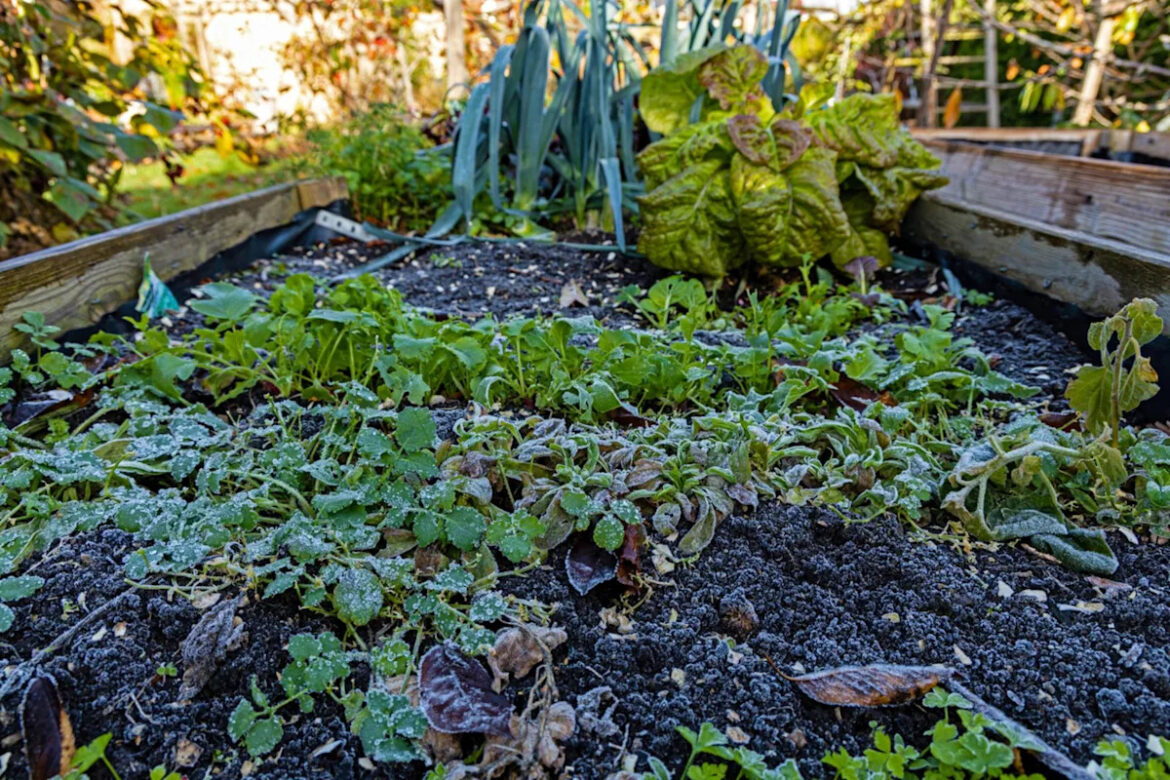 Yahoo lifestyle home