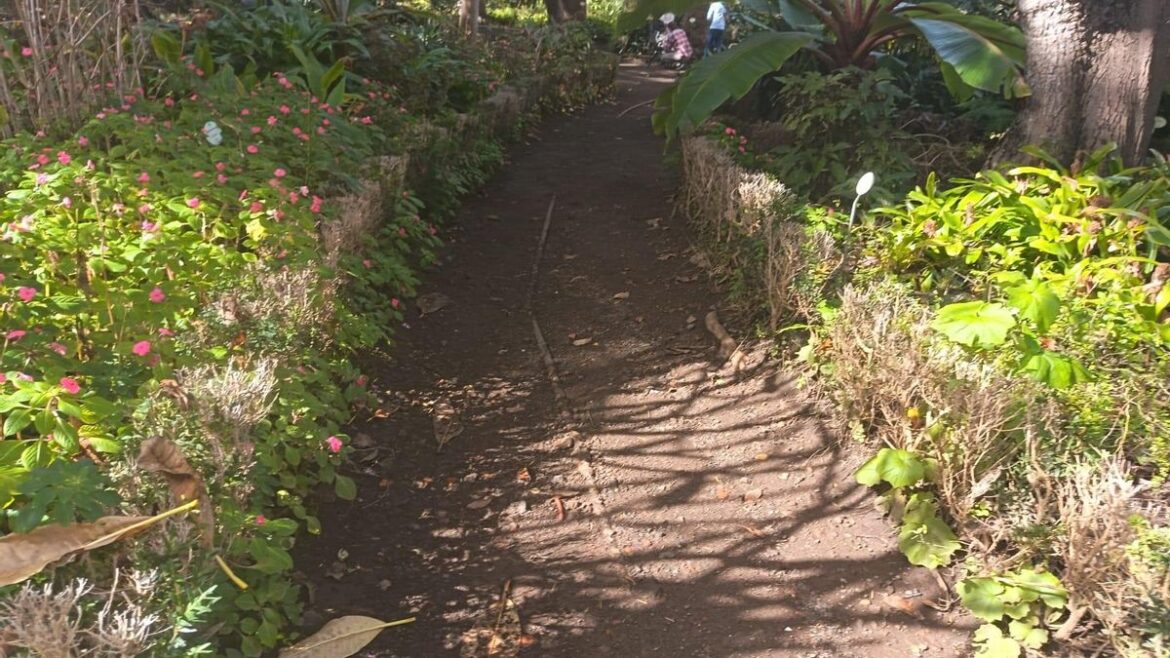 A Tenerife Gem Neglected Under the Guise of Budget Constraints and BIC Protection