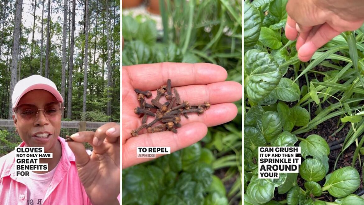 ‘I needed to see this’ 'I needed to see this'