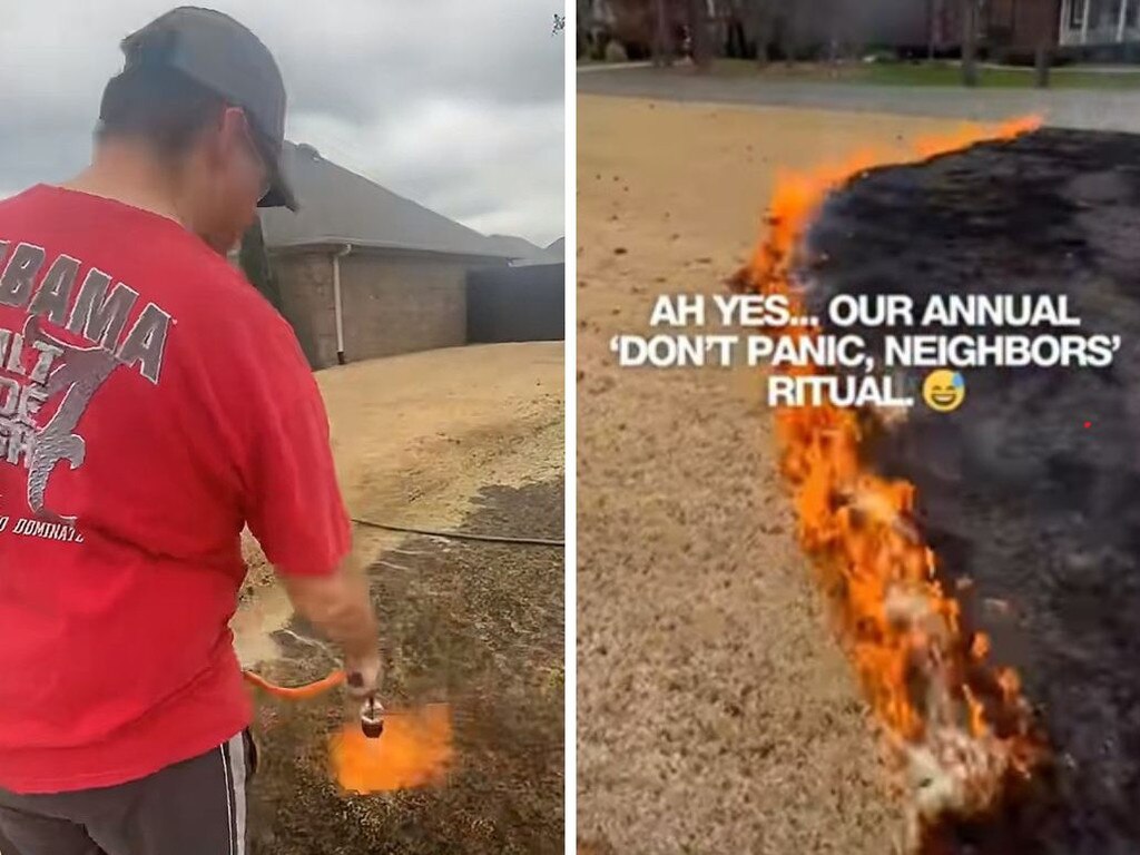 Why homeowners are deliberately torching their lawns for the perfect turf Why homeowners are deliberately torching their lawns for the perfect turf