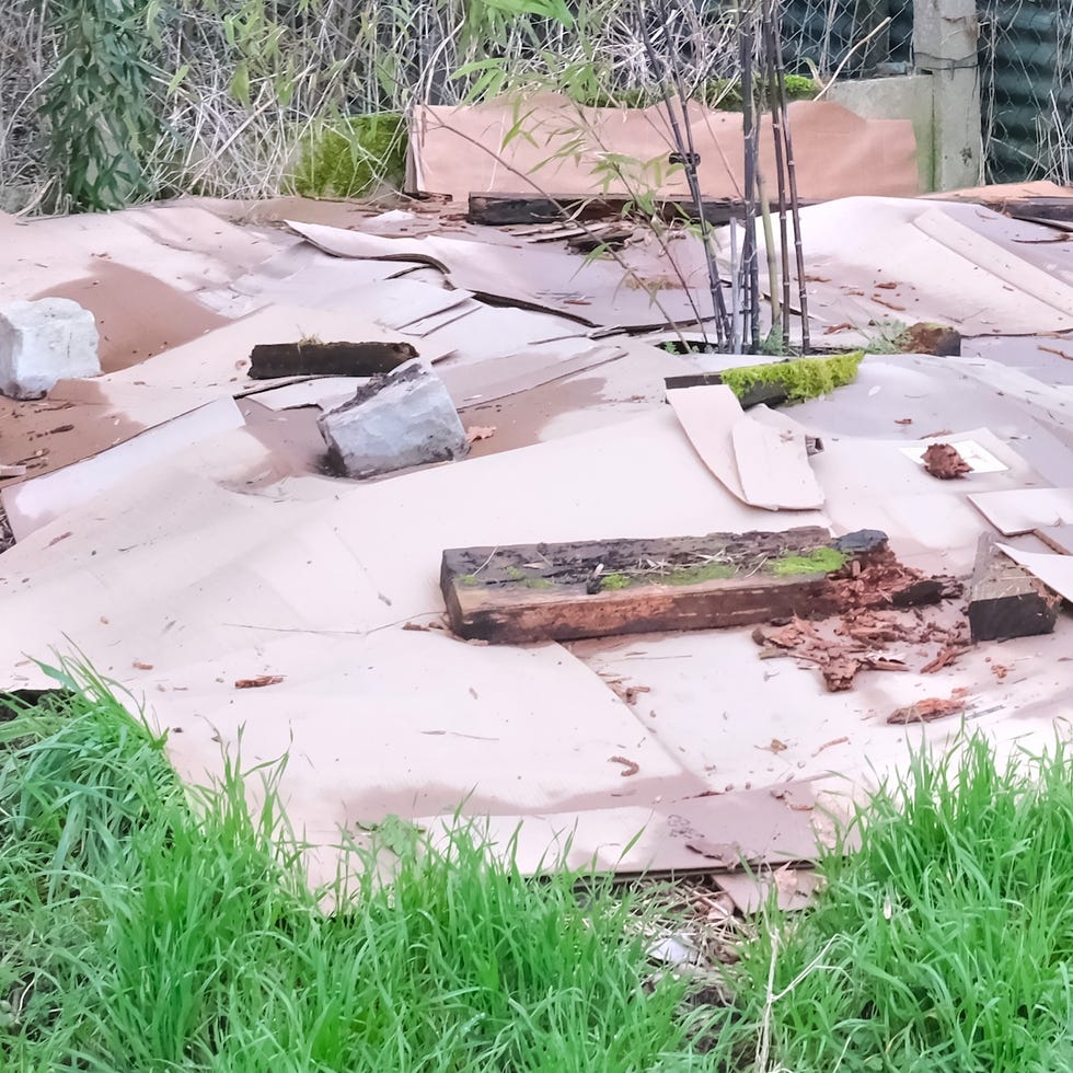 cardboard box in garden