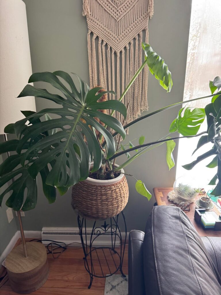 Looking for tips