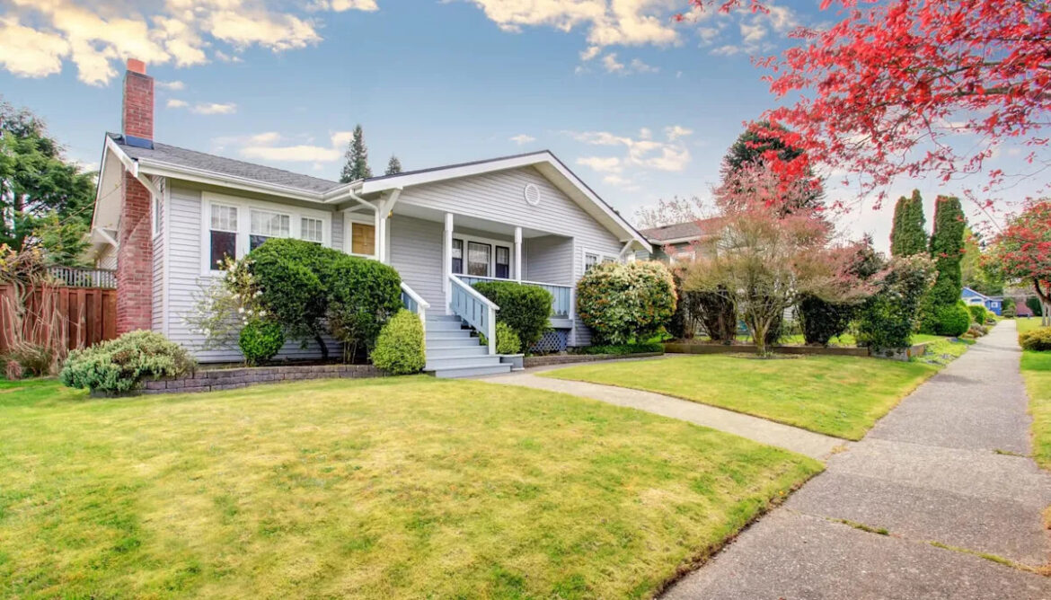 Homeowner shares video after catching unexpected garden visitor 'red-handed': 'Luckily they are cute'
