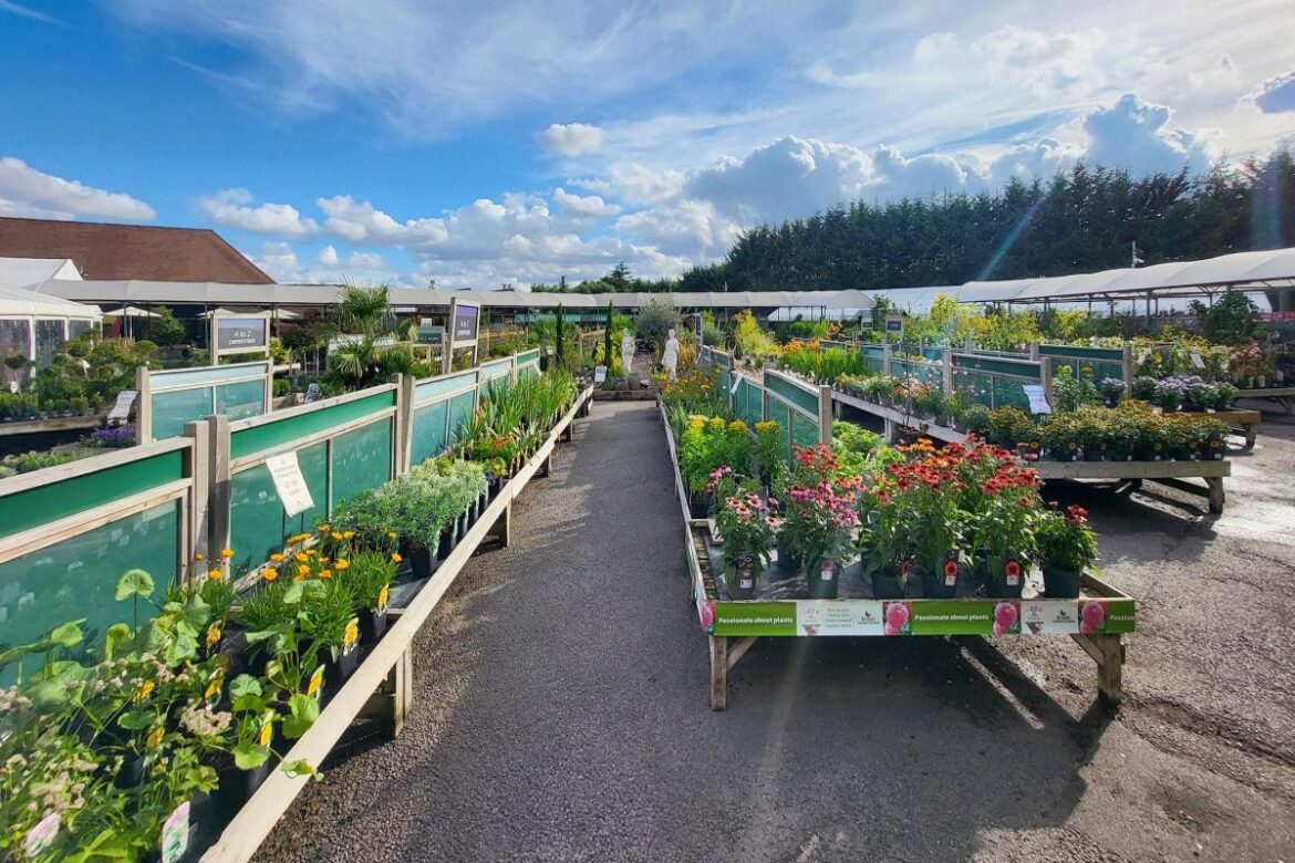 Here are 7 of the best garden centres in and around Colchester for plant lovers