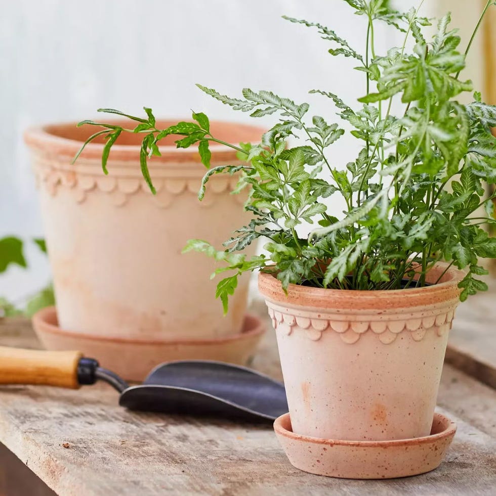 Terracotta Pot + Saucer Set