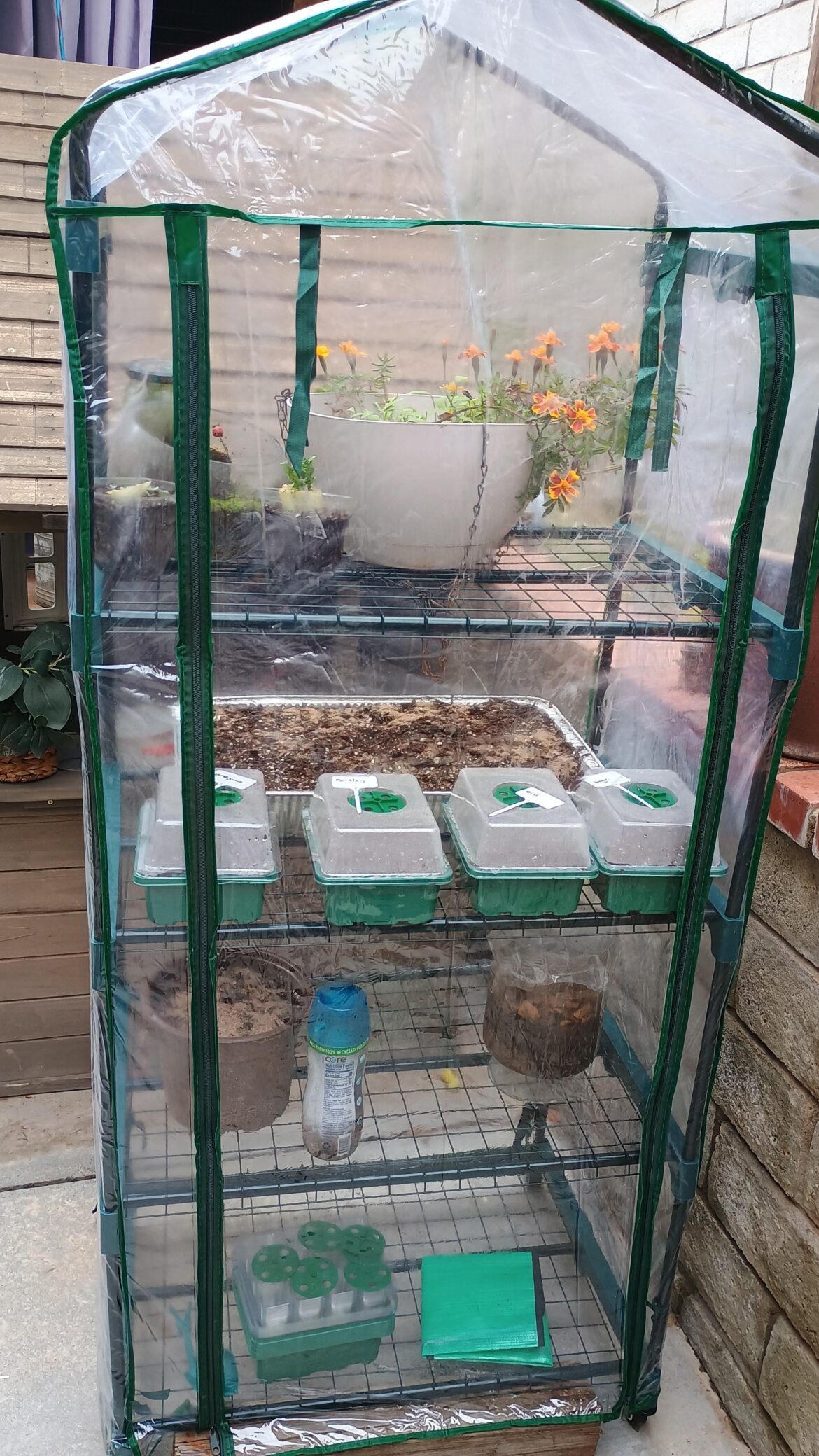 New to greenhouses. Southern Cali. Does this small greenhouse come with any issues or concerns I should know about and be aware of?