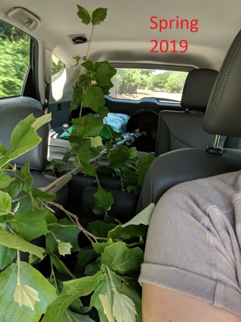 From the Back of A Prius to Two Stories Tall in 6 Years From the Back of A Prius to Two Stories Tall in 6 Years