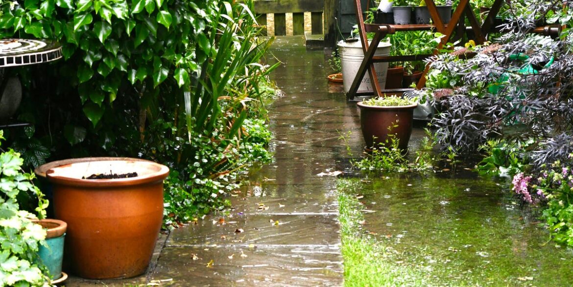 I Nearly Lost My Potted Plants To Heavy Rain – Now I Do This Simple Check I Nearly Lost My Potted Plants To Heavy Rain – Now I Do This Simple Check