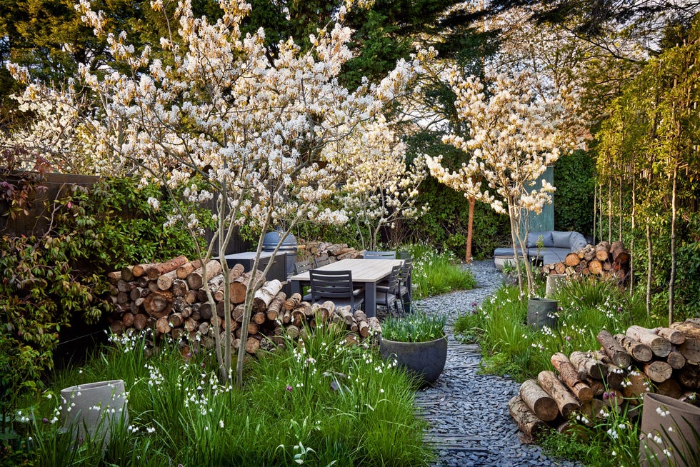 woodlandstyle garden in chiswick