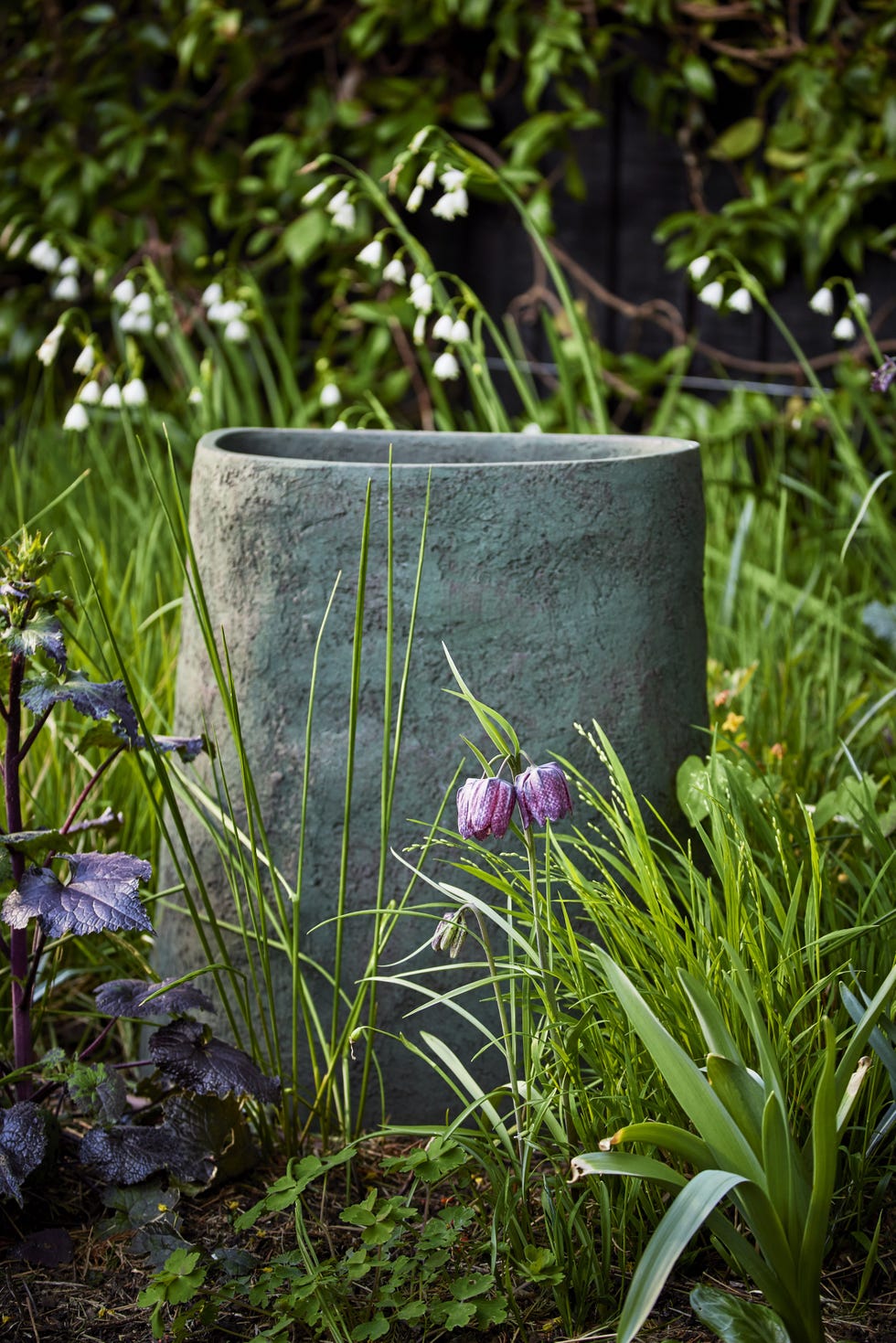 woodlandstyle garden in chiswick