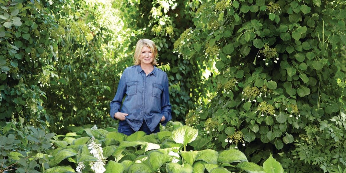Martha Stewart's Tips on Creating a Garden You’ll Love Forever