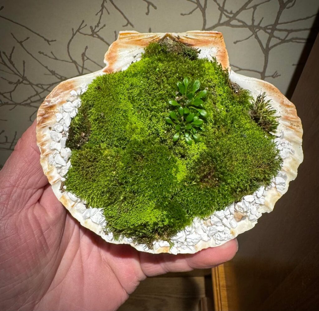 My first attempt today- be gentle!!