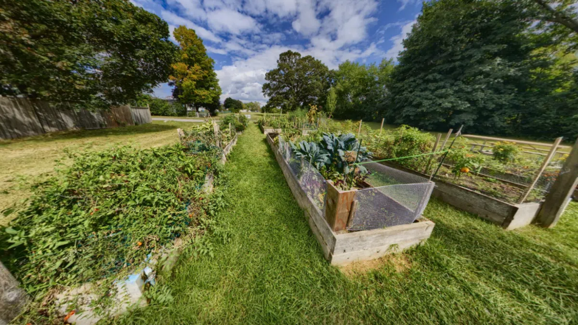 Applications open for Belleville’s 2026 Community Gardens Program