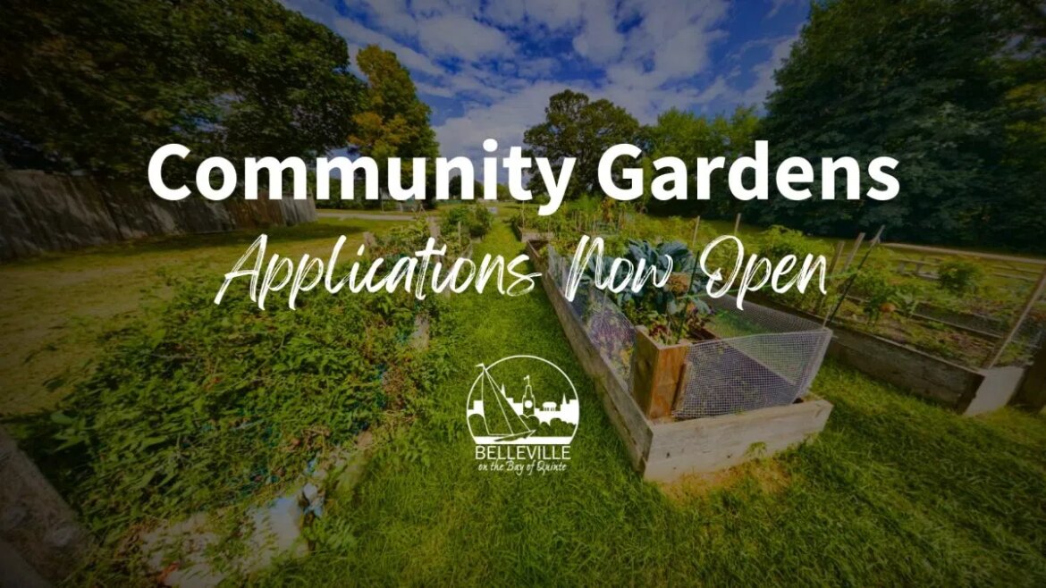 Community Gardens applications open in Belleville for 2026