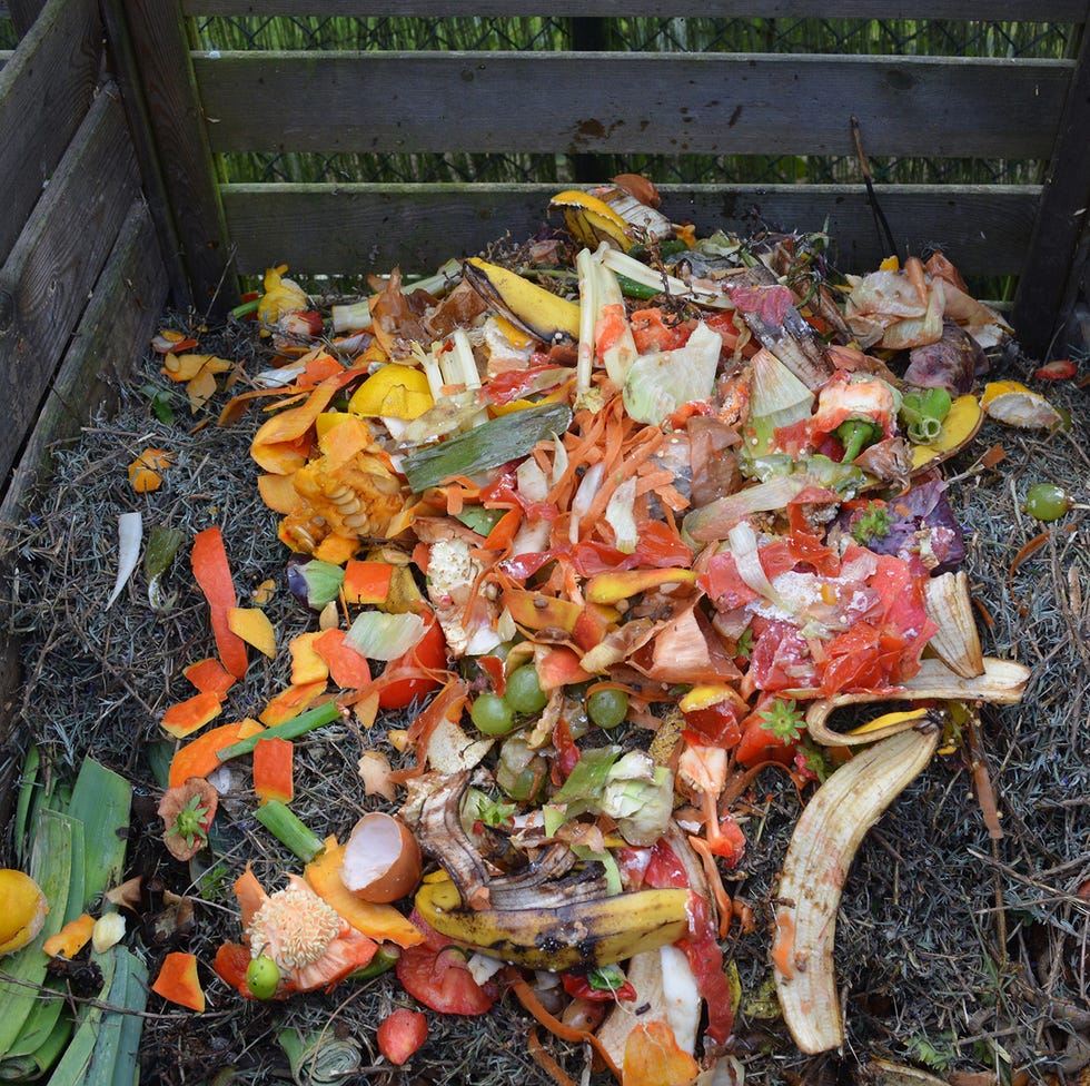 compost heap compost heap