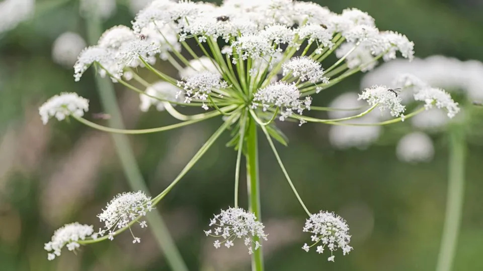 Image Credit: Deposit Photos