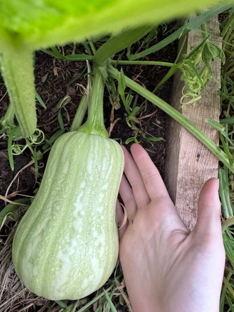 crazy what 1 week can do!!