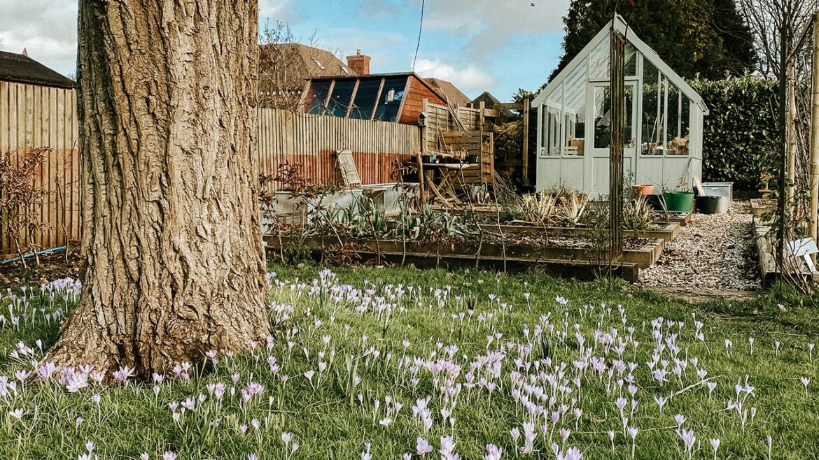 What to plant in February (and other garden tasks for the month)