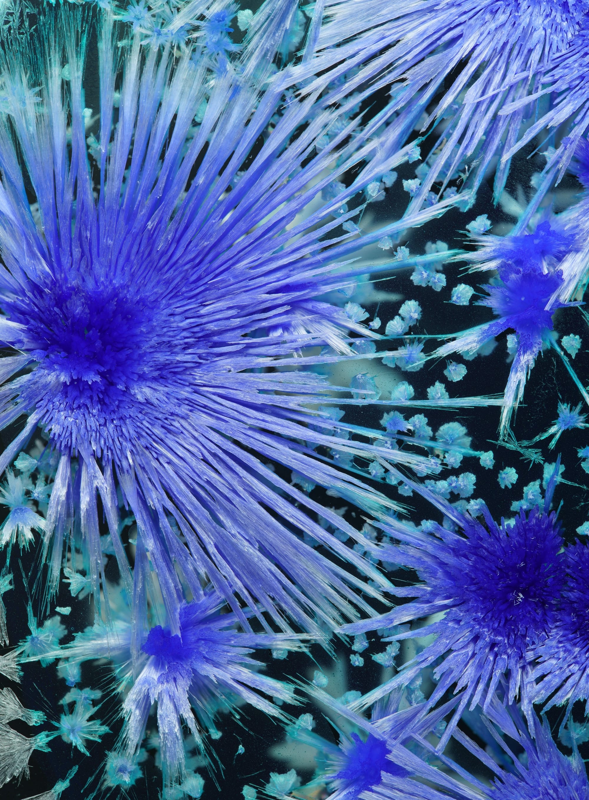 blue and purple crystals