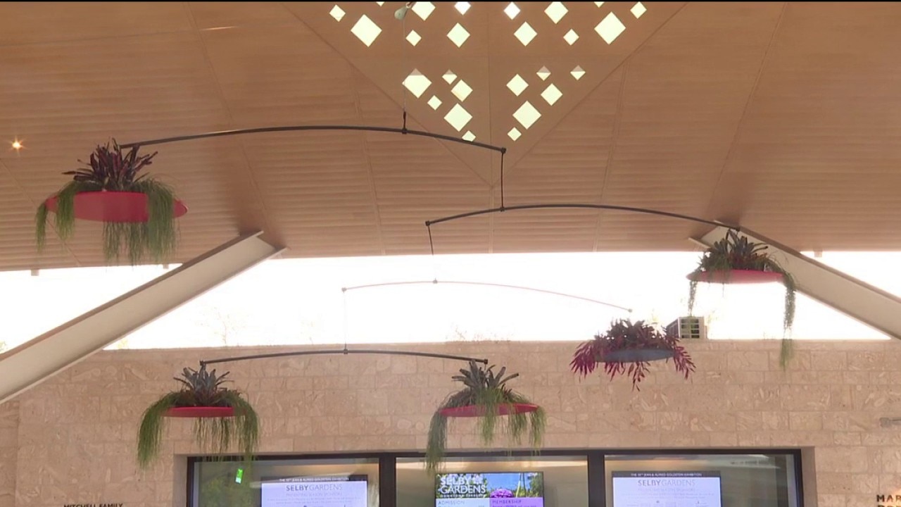 'The Nature of Movement' at Selby Gardens 